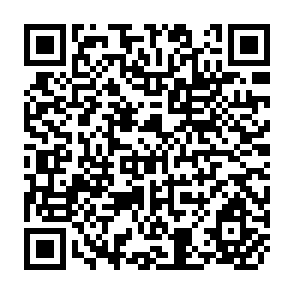 QR Code for An Introduction to the Philosophy of Marxism : Part i