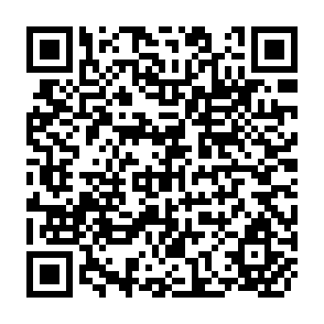 QR Code for Maldevelopment