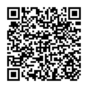 QR Code for Econometric Techniques and Problems