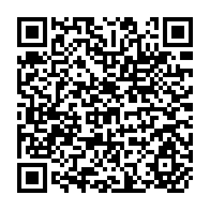 QR Code for The Effect of Food Price and Income Changes on the Acquisition of Food by Low-Income Households