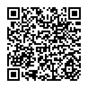 QR Code for Food Strategy and Development in Bangladesh