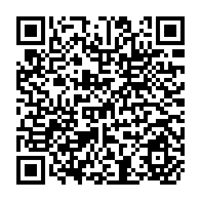 QR Code for Evaluating Demand for Calories for Urban and Rural Populations in the Philippines
