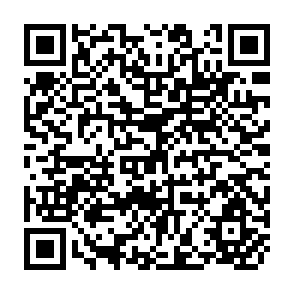 QR Code for The Making of Economics