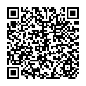 QR Code for Proceedings and Conclusions of the 33rd Consultative Committee Meeting