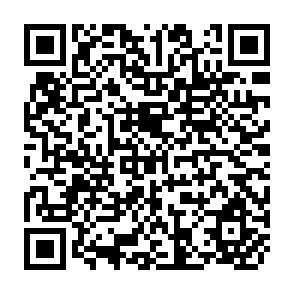 QR Code for Perspectives on the Middle East Water Crisis: Analysing Water Scarcity Problems in Jordan and Israel