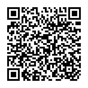 QR Code for Ctatistical Paper Series C No.01 Rev.2