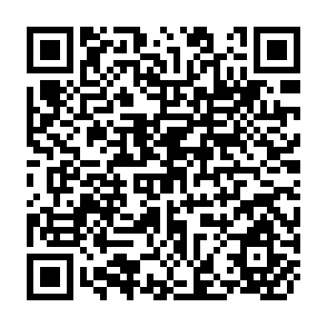 QR Code for How Serious is the Neglect of Intra-Household Inequality