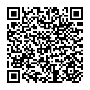 QR Code for Human capital accumulation in Post-green revolution Pakistan: Some preliminary results