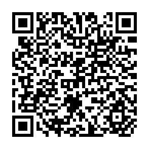 QR Code for Food in Sub-Saharan Africa: Trends and Policy Challenges for the 1990s