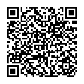QR Code for Role and Prablems of Public Financial Institutions in the Recovery of Loans: Case Studies of Nationalised Commercial Banks
