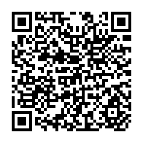 QR Code for Devaluation, Primary Exports and Wages in Argentina: An Unorthodox Interpretation