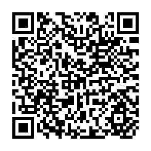 QR Code for Dynamic Model of Investment Behavior of Farms: An Application of Optimal Control Theory