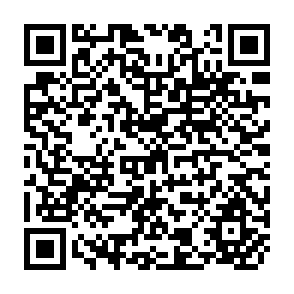 QR Code for Commercialization Of Agriculture Under Population Pressure: Effects On Production, Consumption, And Nutrition In Rwanda