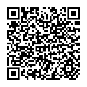 QR Code for World Agricultural Statistics