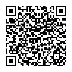 QR Code for Poverty, Development and Food