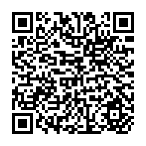 QR Code for Generation and Diffusion of Agricultural Innovations: the role of institutional factors