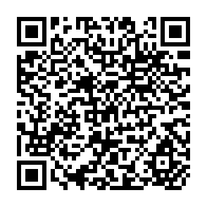 QR Code for Managing Large Irrigation Schemes: A Problem of Political Economy
