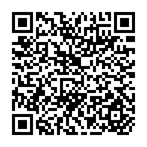 QR Code for The International Grain Trade: Problems and Prospects