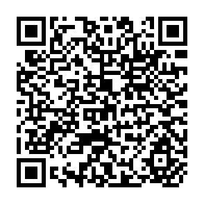 QR Code for World Development Report 1991