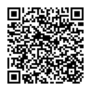 QR Code for Report of the Workshop and Symposium on Strengthening Pesticide Regulations