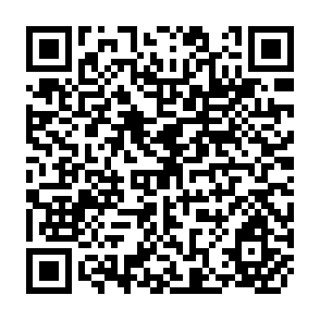 QR Code for The Crisis in Planning