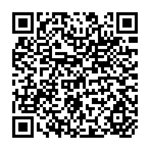 QR Code for Agricultural Growth and Food Imports in Developing Countries:A Reexamination