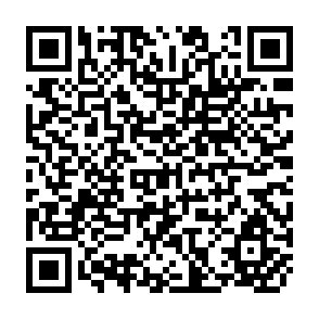 QR Code for Parallel Markets for Agriculture in a West African Setting: Origins and Distributional Effects