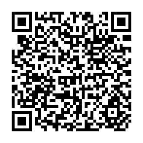 QR Code for Economic Analysis of Projects