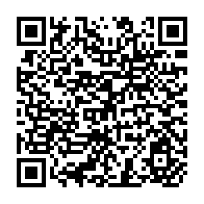 QR Code for Social Security in Sub-Saharan Africa: Reflections on Policy Challenges