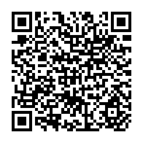 QR Code for Technological Change and Commercialization in Agriculture: The Effect on the Poor