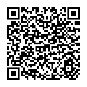 QR Code for Poverty, Food intake, and Malnutrition