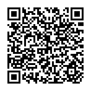 QR Code for Fertilizer Distribution and credit schemes for small-scale farmers