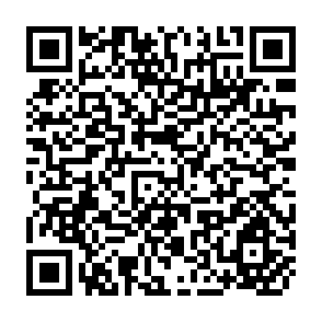 QR Code for A Comparative Analysis of Asian Agricultural Productivities and Growth Patterns