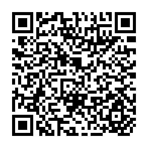QR Code for Training Manual on People's Participation