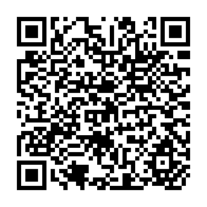 QR Code for Incentives and Constraints in the Transformation of Punjab Agriculture