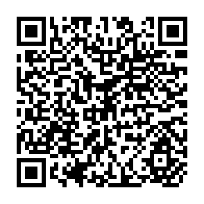 QR Code for The Milk and Dairy Products Market Volume v
