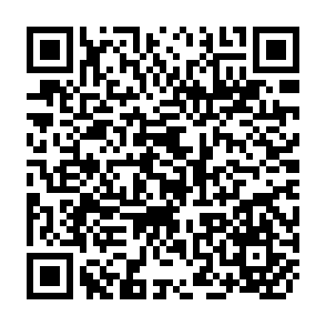 QR Code for The Practice of Social Research
