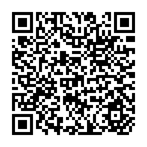 QR Code for Human Development Report 1990