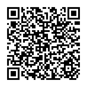 QR Code for Estimating Income and Price Elasticities of Imports and Exports of Bangladesh