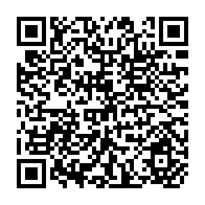 QR Code for The Supply Responses of African Farmers- Theory and Measurement in Malavi