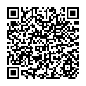 QR Code for Market Structure, Mark-up Theories and Industrial Pricing: The Case of Urea Fertilizer Industry in Bangladesh