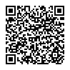 QR Code for Human Development Report 1991