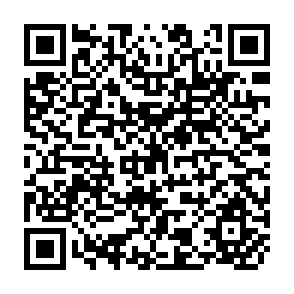 QR Code for Review of Aidab's Role in the International Agricultural Research Centres