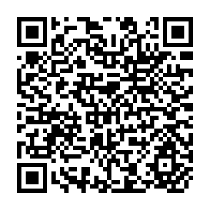 QR Code for Private Sector Adjustment and Corporate Behaviour in Colombia