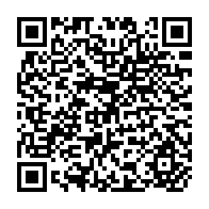 QR Code for Debt, Adjustment and Donar Interventions in Post-war Horn of Africa