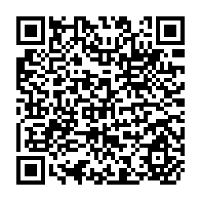 QR Code for In the shadow of agriculture: Economic diversification and agrarian change in java1900-1990