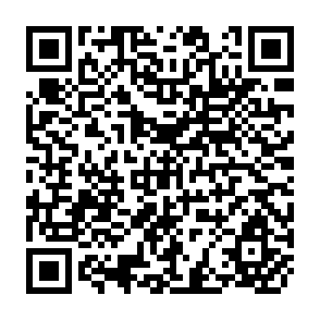QR Code for The Rural Energy Problem In Developing Countries: Diagnosis and Policy Approaches- A Review of Major Issues