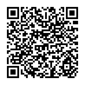 QR Code for The Informal Sector in Greater Sao Paulo: A Discussion of Concepts and Criteria,and a Description of its Characteristics