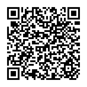 QR Code for Agrarian Policy and Democratic Transittion in Chile:Continuity or Change?