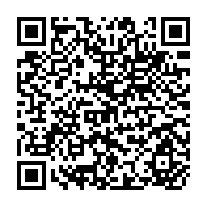 QR Code for Agricultural Incomes and Rural Poverty: An Analysis at Crop- State Level in India